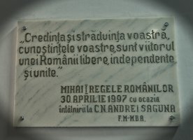 Colegiul National Andrei Saguna
