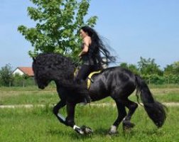 Echitaţia Cişmaşu din Bălţile Cişmaşu