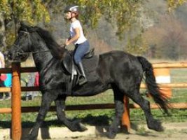 Echitaţia Cişmaşu din Bălţile Cişmaşu