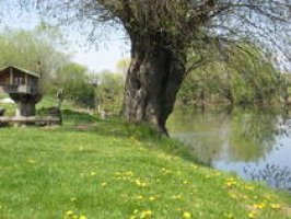 Echitaţia Cişmaşu din Bălţile Cişmaşu