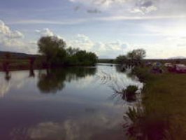 Echitaţia Cişmaşu din Bălţile Cişmaşu