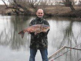 Echitaţia Cişmaşu din Bălţile Cişmaşu