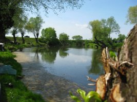 Pescuit Baile Cismasu