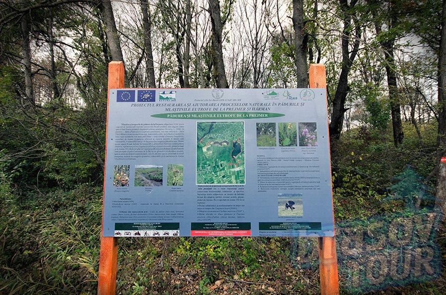 La Reserva de bosque y pantanos eutrófios de Prejmer